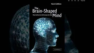 Chapter 8 Evidence for connectionist models