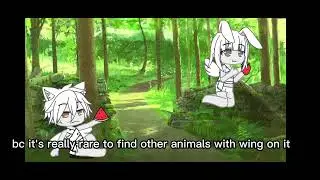 the gacha zoo! (not original credits on the description)part 1