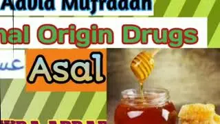 Animal origin Drugs|| Advia Haivania|| Asal||Honey|,Unani medicine