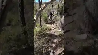 Rocky Path Challenge: Epic Mountain Biking Fail! #shorts