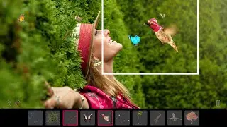 How to Make Photos Move with PixaMotion!