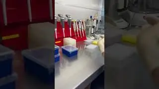#biology #aesthetic #laboratory #students #newyear #christmas #winter #cake #snow #work ##medical