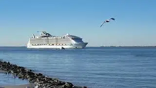 3 Massive Cruise Ships Sail Past Me in Galveston 🚢 | Royal Caribbean, MSC & Princess