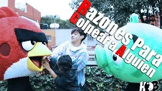 Razones para golpear a alguien / #AD #AngryBirds2