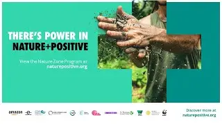 Nature+Zone at COP26: 10 November