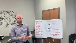 Hormones: The Endocrine System Part 5
