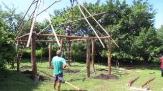 Eucalyptus Plantation and Roof Assembly