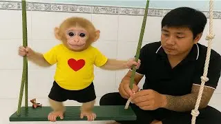 30 Days So cute! Monkey Molly is very happy with the special gift that her daddy prepared for her.