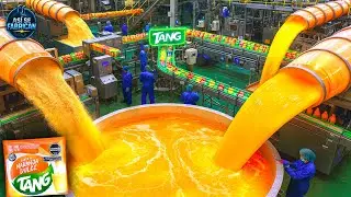 HOW TANG IS MADE 🍊 | This is how the most famous powdered juice is made