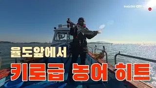 율도앞에서 키로급농어 히트