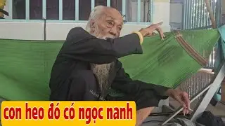 Thầy Rắn Ông Tư Đền Kể Chuyện Heo Ba Chân Và Truyện Bà Mao Bà Lục Dời Nghe Rợn Người 