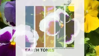uncle zen's earth tones | 432hz healing frequencies 🧘&zwj;♀️💖