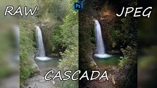 Edición completa: Cómo transformar una cascada plana en una foto con ambiente