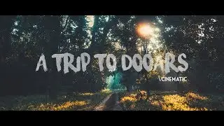 A Trip To Dooars || Cinematic Travel Video