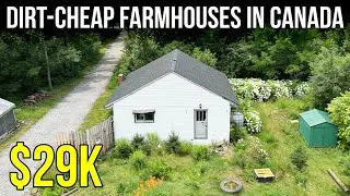 10 Affordable Country Homes in New Brunswick (With Land!)