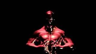 Iris Hill - Stand Up