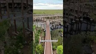 Did you know about this secret tower in the Everglades! #secretspots #everglades