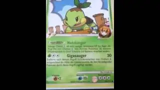 Pokemon Deck Vorstellung (Verkauf)