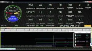 ProEFI Wideband issue