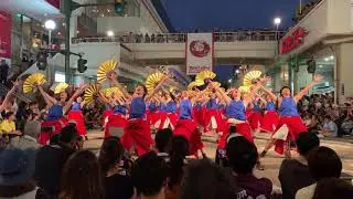 にいがた総おどり2019 「華鳥風月」 3日目 フィナーレ