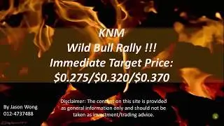 KNM(7164) Wild Bull Rally !!! Immediate Target Price: $0.275/$0.320/$0.370