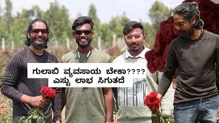 ಗುಲಾಬಿ ವ್ಯವಸಾಯ ಬೇಕಾ????ಎಸ್ಟು ಲಾಭ ಸಿಗುತದೆ | ROSE FARMER RJ | NAVEEN NARAYAN | RAGHU