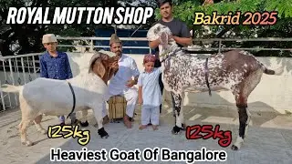 125kg Live Heavyweight 88928 84778 Sheep And Goat Available in Bangalore