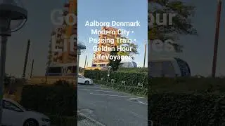 City View from Sprogcenter Aalborg 🇩🇰 | Denmark Travel 2025 | Nordic Urban Vibes #Shorts