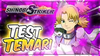 NTBSS / Test Temari (FR)
