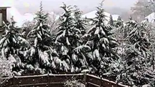 Snow in Alabama !!  ON CHRISTMAS DAY !! No Less.  Christmas Snow. Winter Wonder Land