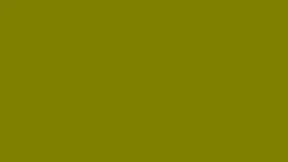 Olive (#808000) Color Screen For 1 hour | 4K | Full HD | 1080P