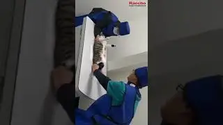 Raecho Veterinary DR X-ray Machine