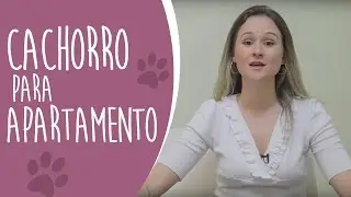 Ju Almeida Pet - Qual melhor cachorro para apartamento?