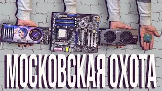 Фриганское коллекционирование в столице [HW-HUNTER #1]