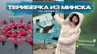 Автобусный тур в ТЕРИБЕРКУ из МИНСКА! Арктика, Кольский полуостров, Баренцево море 🌊