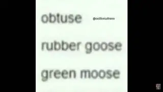 Obtuse rubber goose green moose child abuse