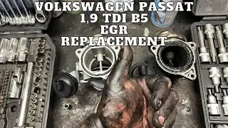 VW Passat 1,9 TDI EGR Replacement