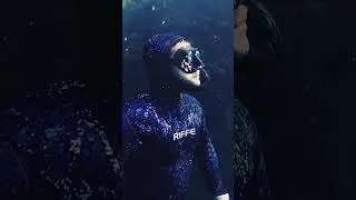 Freedive with us through an Underwater Forest