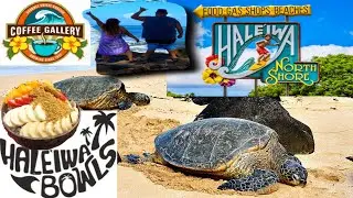 Haleiwa Acai Bowls,Coffee Gallery Sharks Cove Laniakea Beach North Shore Oahu Hawaii Vacaciones 4k