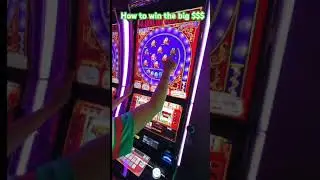 I Found the Best Pinball Jackpot Strategies #shorts #casino #slots #gambling
