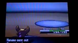 Pok&eacute;mon Black & White - PanAnning vs Hamano (A friend of mine)