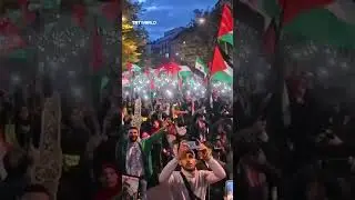 'Unity for Gaza' protest held in Berlin after ceasefire