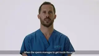From the IVF Lab: Conventional IVF