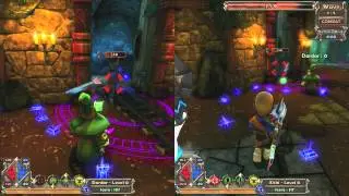 Dungeon Defenders - The Co-op Mode