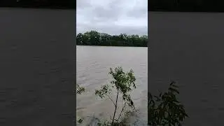 Flooded Field's