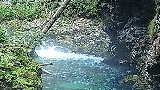 Vintgar Gorge in Slovenia 🇸🇮. Soteska Vintgar.
