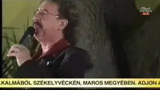 Tarnai Kiss László: Verpeléti akácos