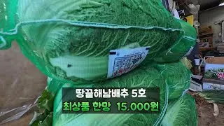 🍠  2026년 새해 첫 경동시장 풍경 🍠 #시장 #농산물가격  #시장구경 #건강정보 #경동시장 #드론
