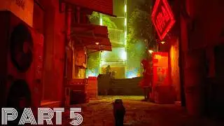 STRAY CATS GAME I AM CAT Gameplay LIVE!!