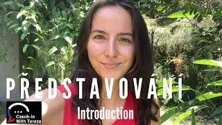 Intermediate Czech - 